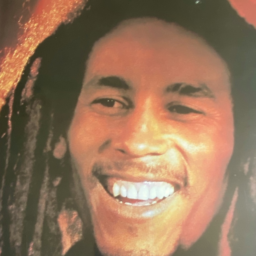 BOB Marley Framed picture